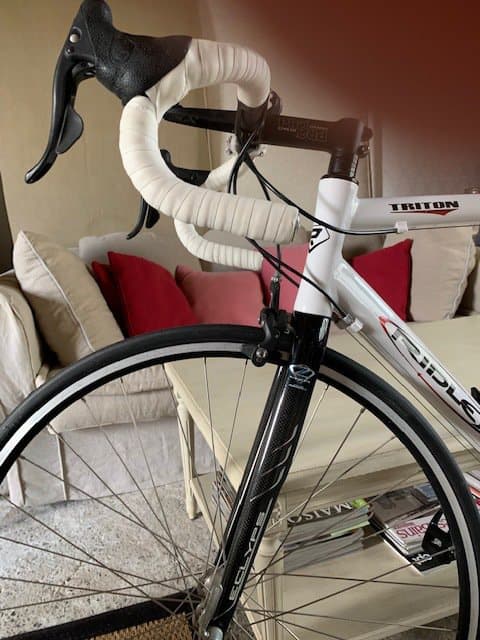 【整備済み】RIDLEY ロードバイク　TRITON　S 整備済み】RIDLEY ロードバイク TRITON S リドレー TRITON S