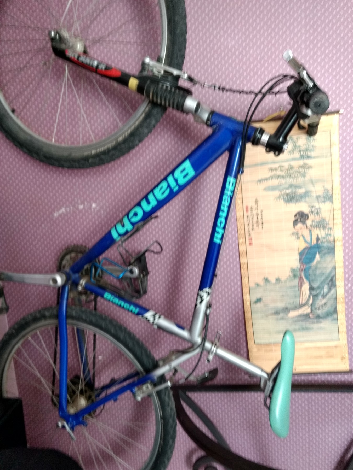 Bianchi mountain 2024 bike 1990