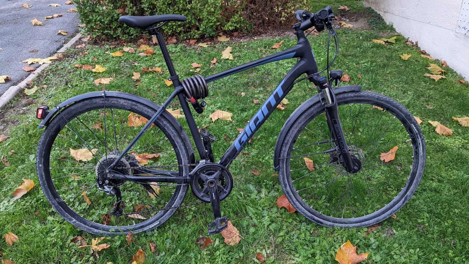 giant roam ex 2020