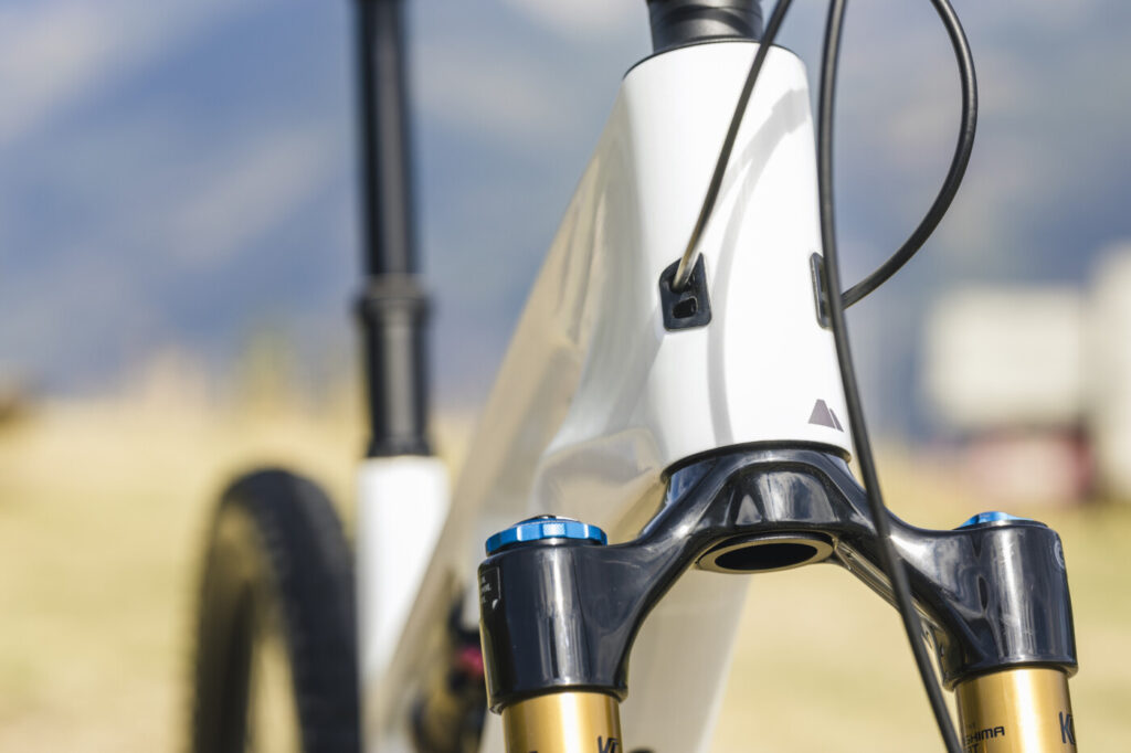 Canyon Spectral:ON CF 9