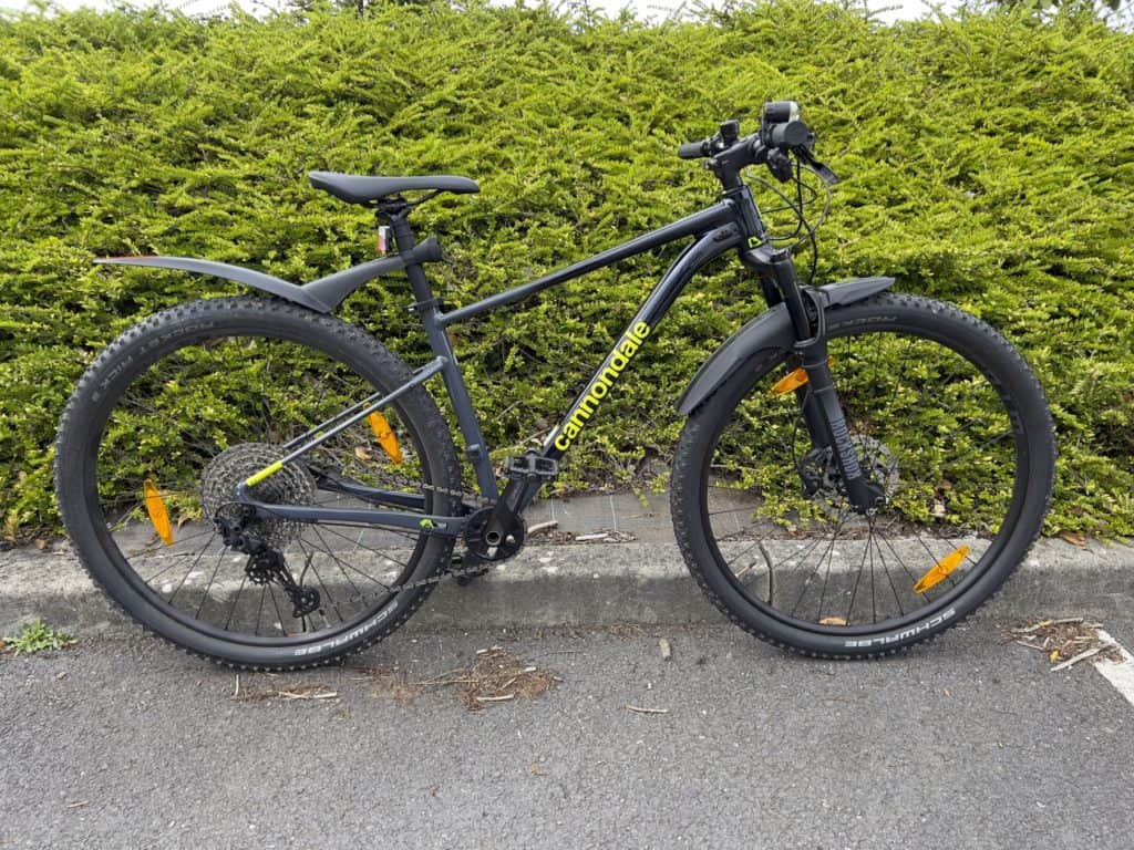 Cannondale trail sl2 2021 sale