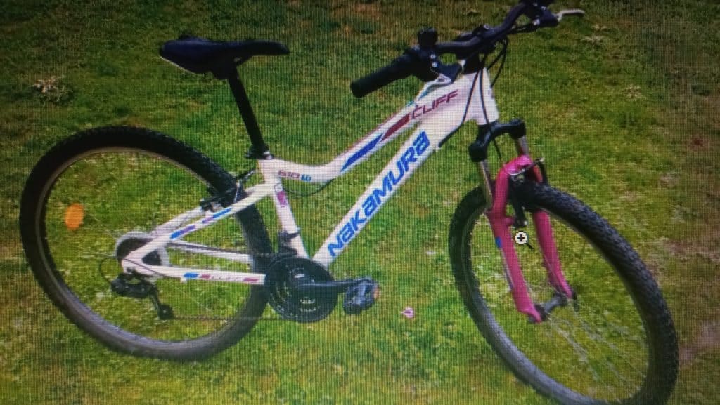 VTT Nakamura Rose bleu blanc femme Lyon volé à Lyon