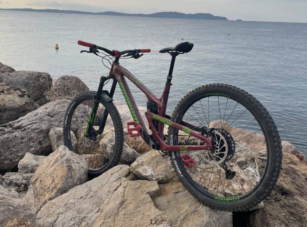 A vendre VTT enduro carbone occasion Propain Tyee CF 29 de 2021.