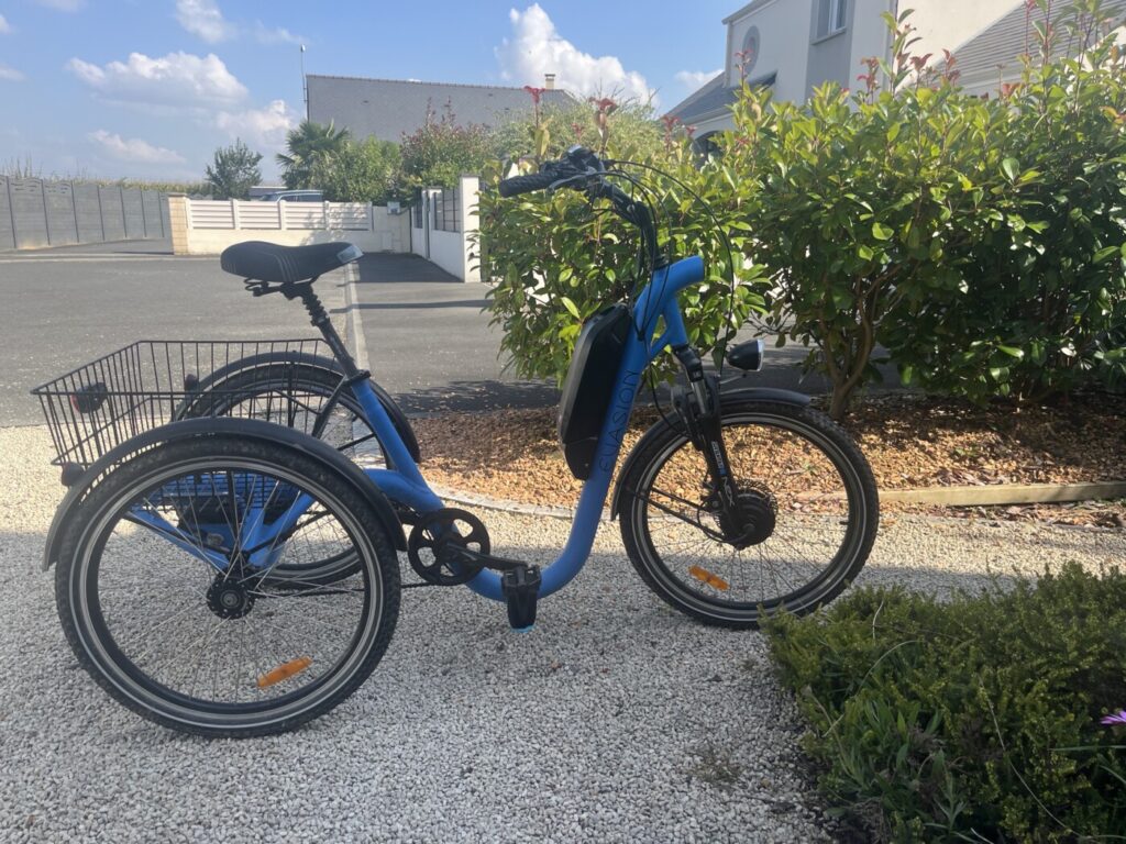 A vendre Tricycle électrique occasion Damius Evasion 2019 